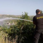 حريق بلان و اشجار حرجية في بزيزا
